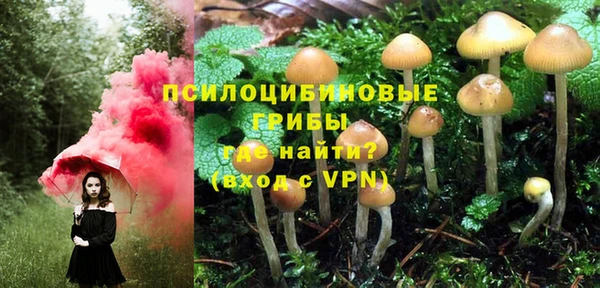 крисы Дмитровск